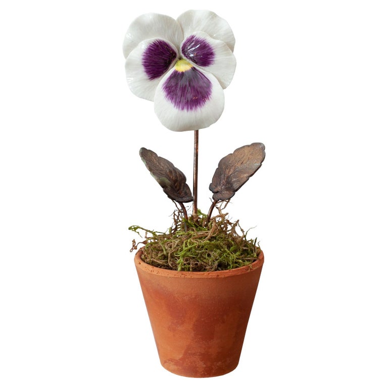 PORCELAIN PURPLE AND WHITE PANSY IN TERRACOTTA POT