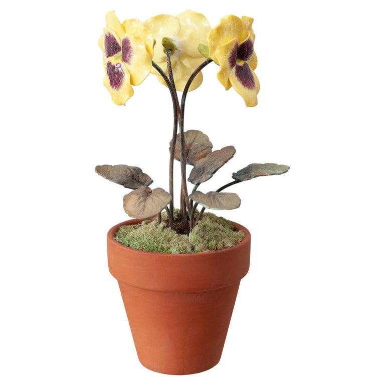 PORCELAIN PURPLE AND YELLOW THREE STEM PANSY IN TERRACOTTA POT