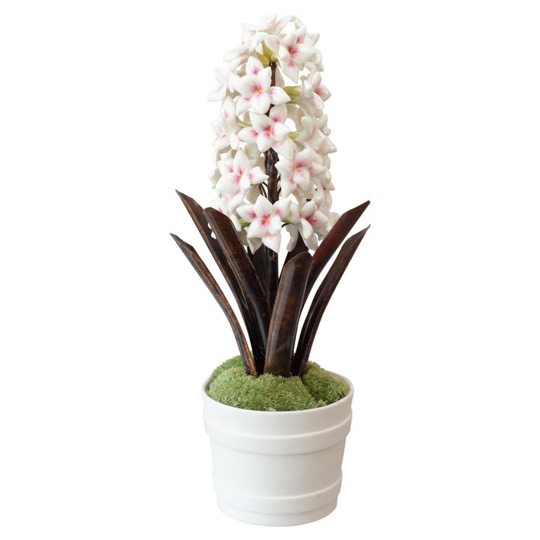 PORCELAIN WHITE AND PINK HYACINTH IN BISCUIT POT